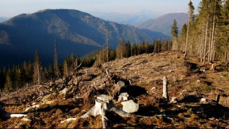 РАЦІОНАЛЬНЕ Й ЕФЕКТИВНЕ ВИКОРИСТАННЯ РЕСУРСІВ – 10 клас