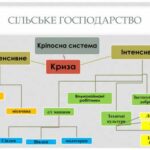 Соціально-економічний розвиток - 9 клас