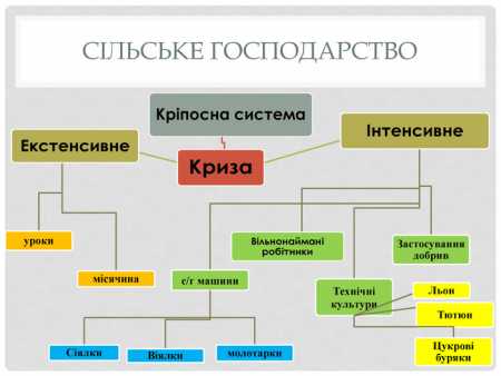 Соціально-економічний розвиток – 9 клас