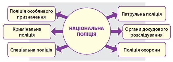 Поліцейські: патрульні, дільничні офіцери поліції - 9 клас